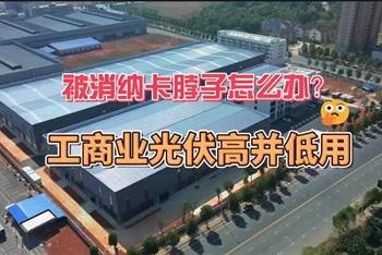 消纳被卡脖子怎么办？