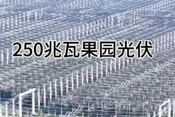 超大规模全柔性支架果园型农光互补